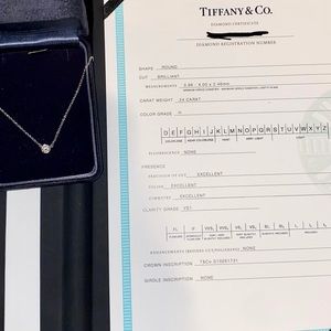 Tiffany & Co Diamond by Yard Necklace
